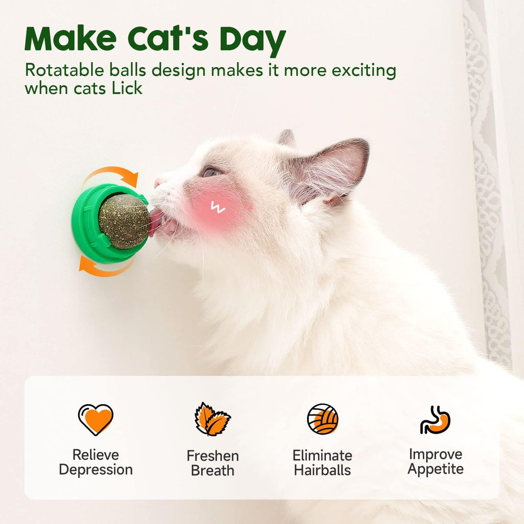 Cat chewing and licking natural catnip silvervine ball