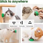 Cat licking edible silvervine energy ball on wall