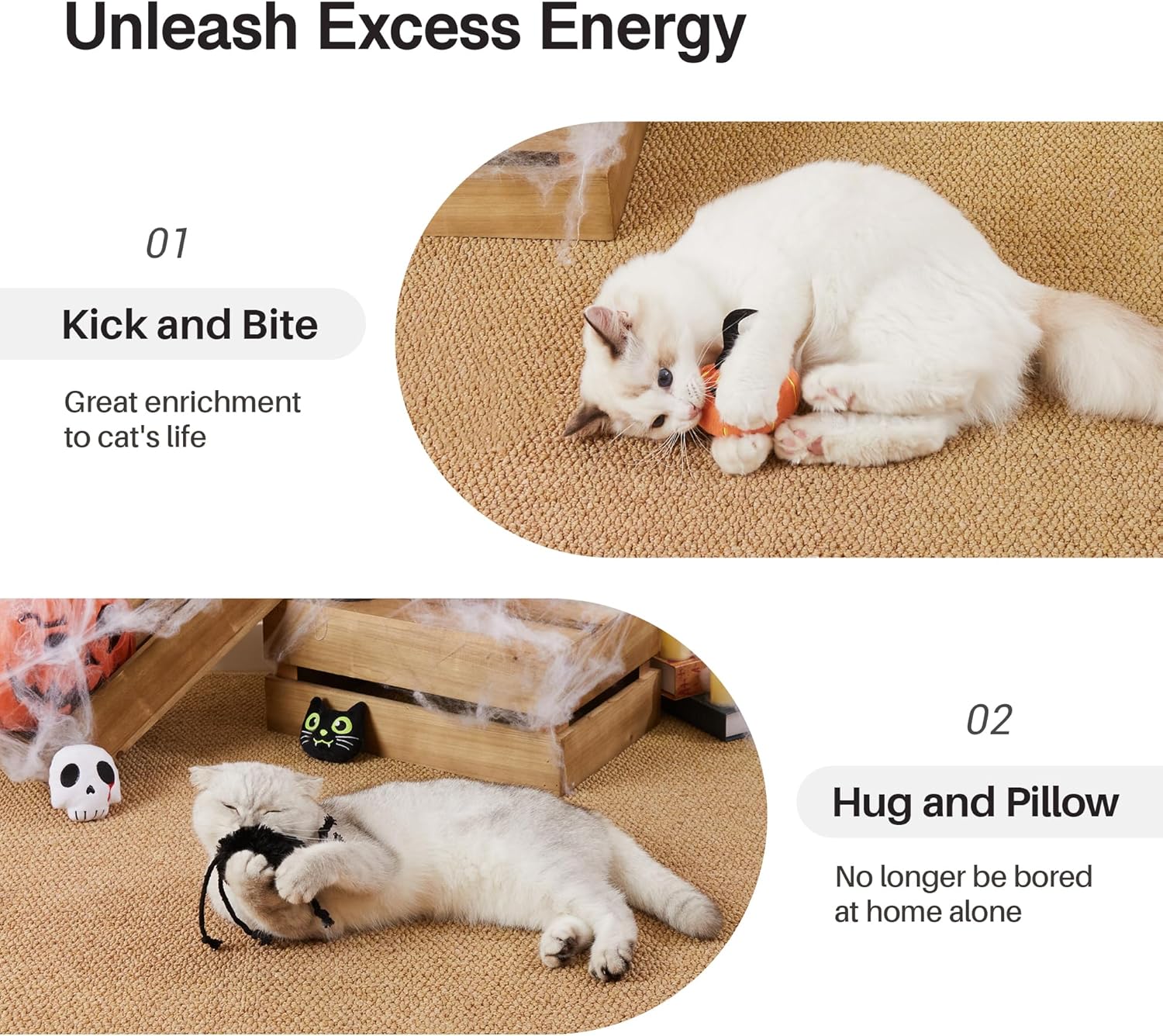 Cat playing with pumpkin and ghost cat toy