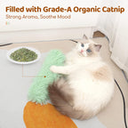 Indoor cat enjoying interactive Ovista kicker toy