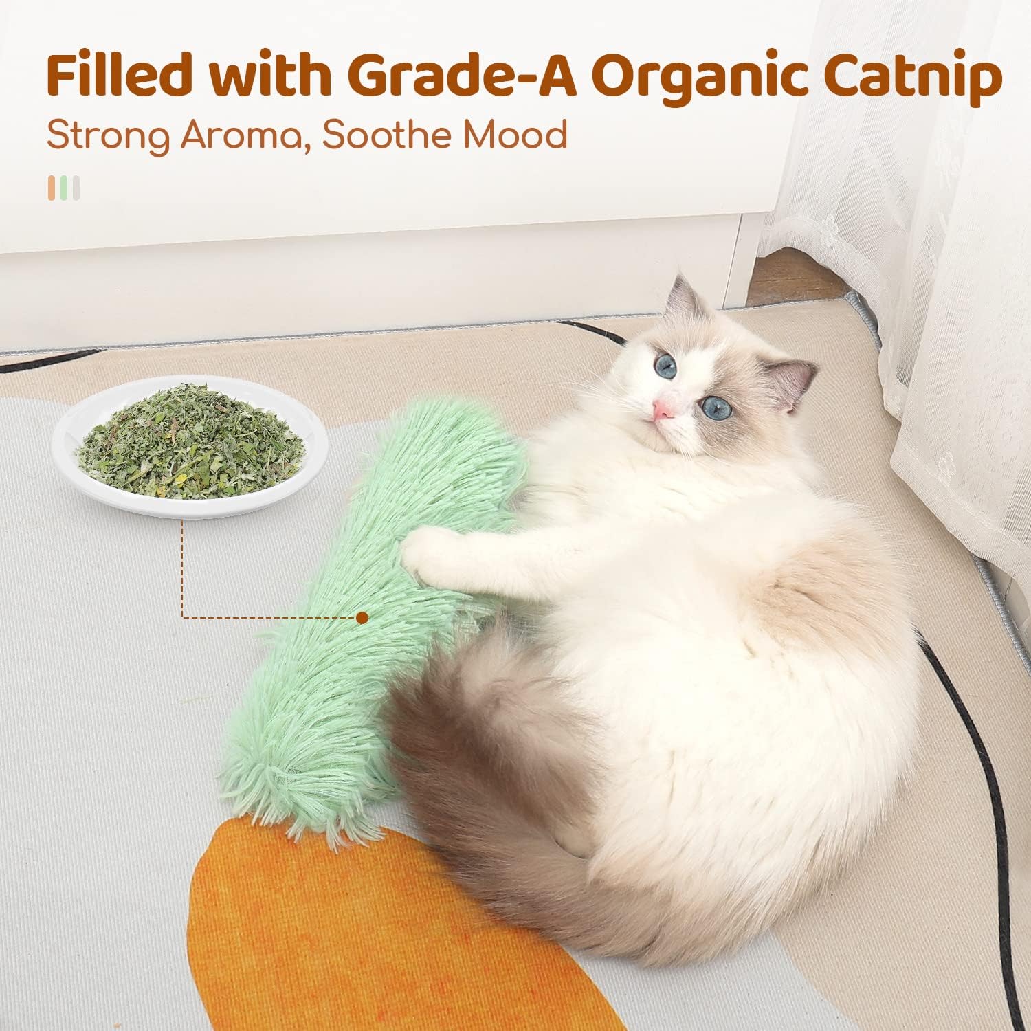 Indoor cat enjoying interactive Ovista kicker toy