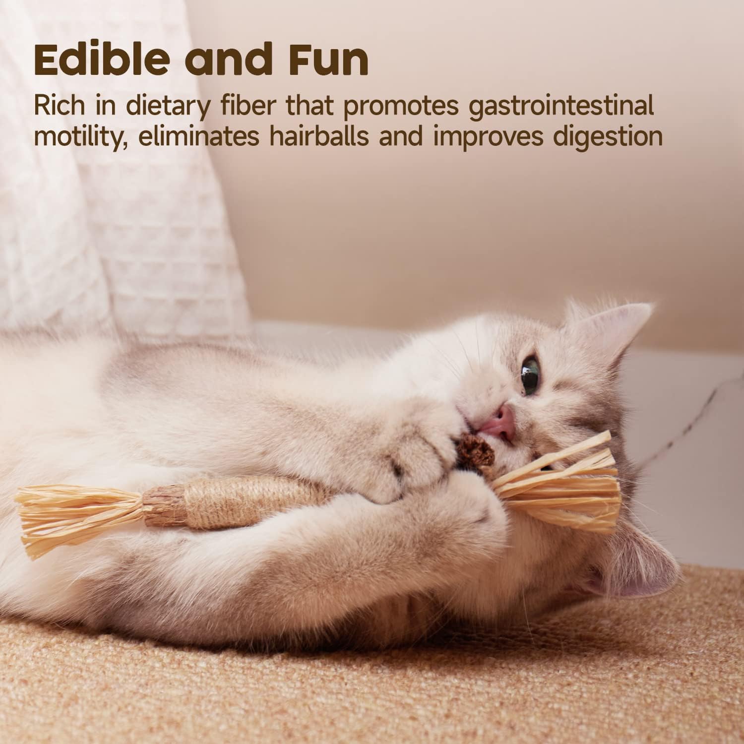 Kitten playing with silvervine chew stick on floor